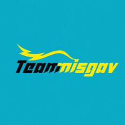 Team Misgav